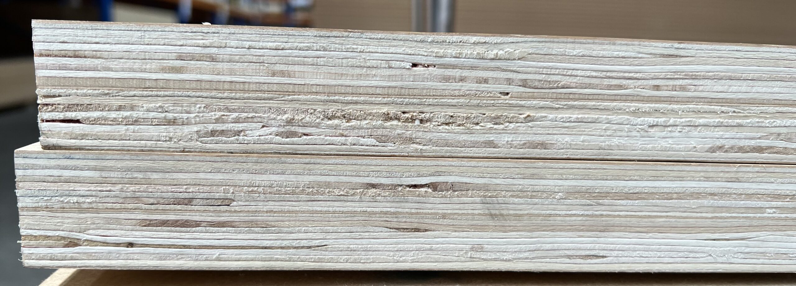 American White Oak on Plywood Crown Cut 1F 2390x1190x34mm (1)