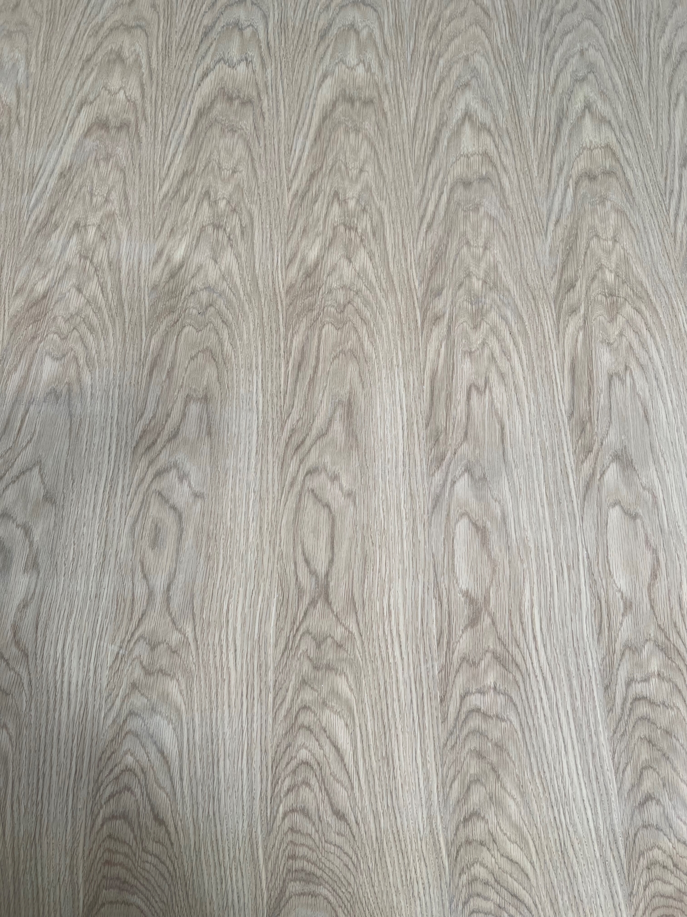 American White Oak on Plywood Crown Cut 1F 2390x1190x34mm (2)