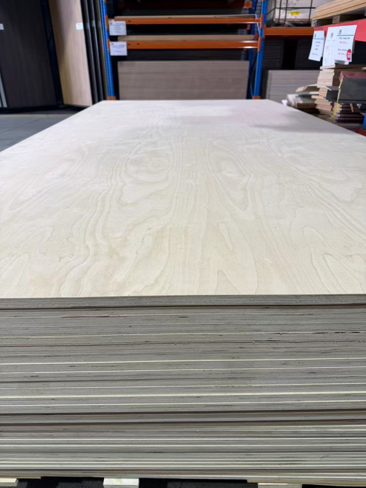 Birch ply 2